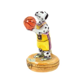 Basketball Dalmatian Dog Sports